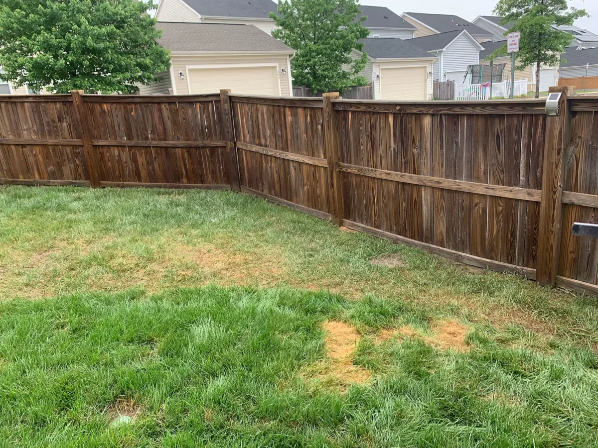 fence with garden